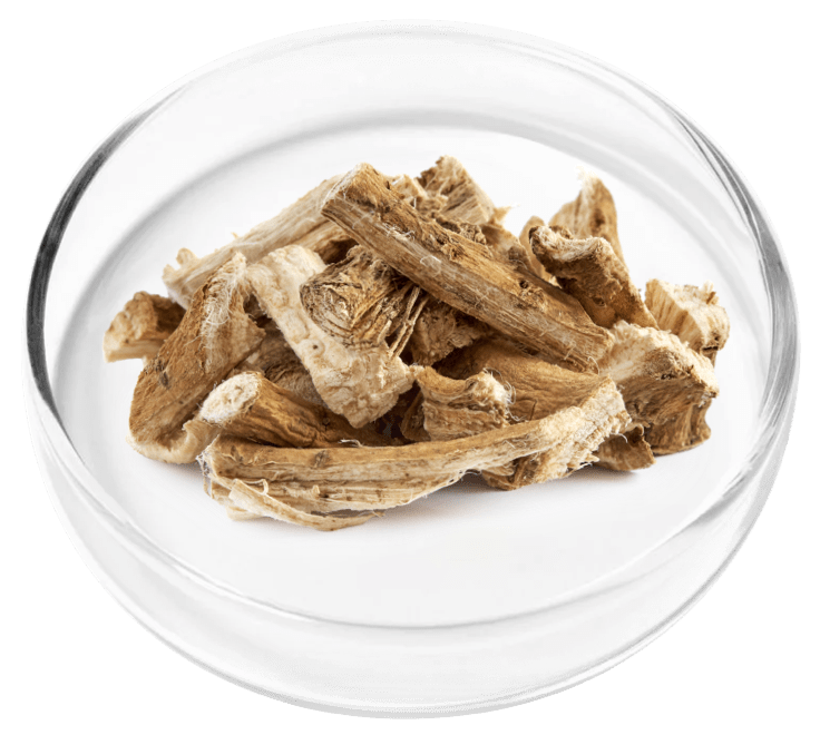nervovive ingredient2